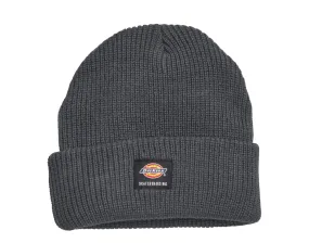 Dickies Skateboarding Cuffed Beanie