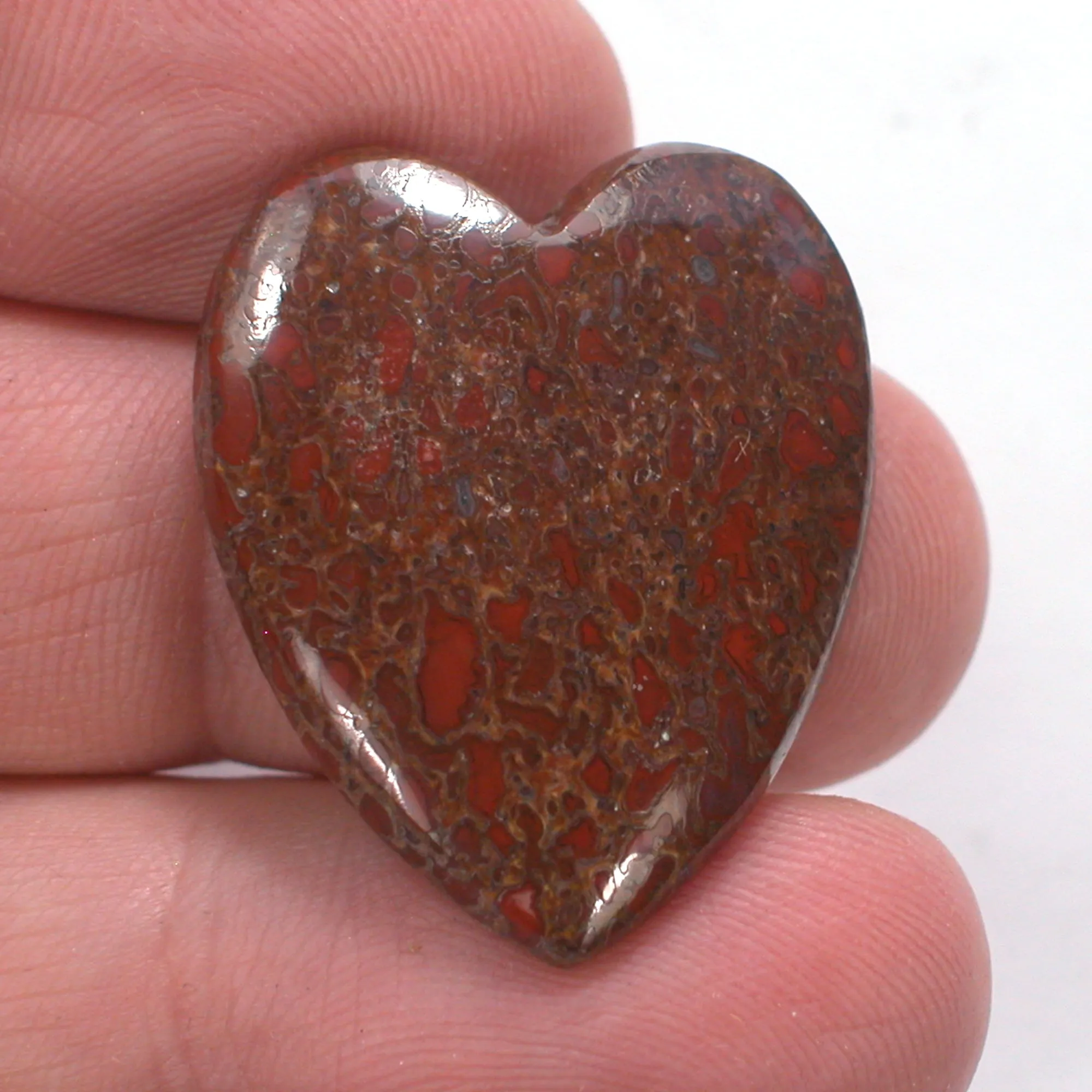 DVH Dinosaur Bone Heart Cabochon Fossil Dino Cab 30x25x5 (4996)