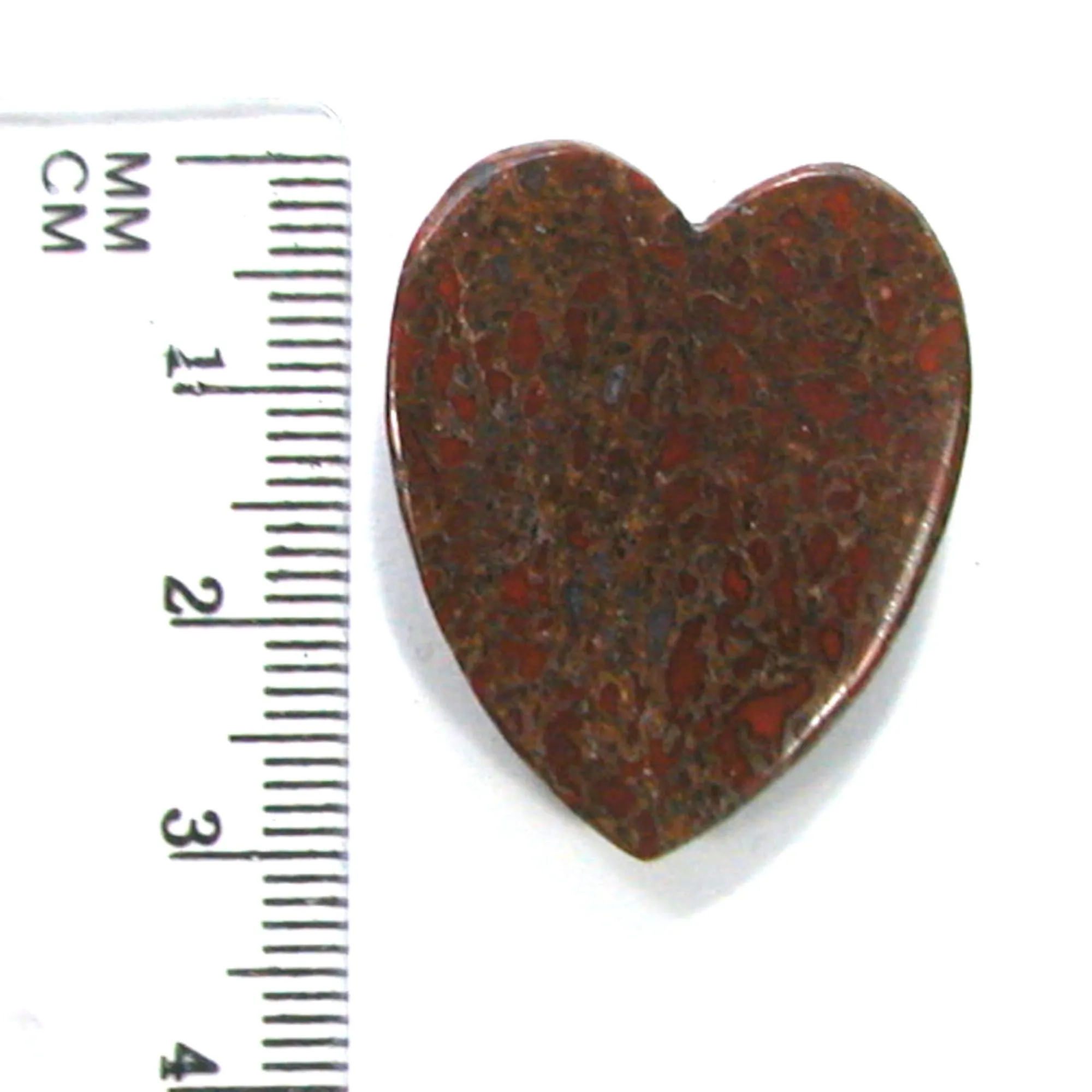 DVH Dinosaur Bone Heart Cabochon Fossil Dino Cab 30x25x5 (4996)