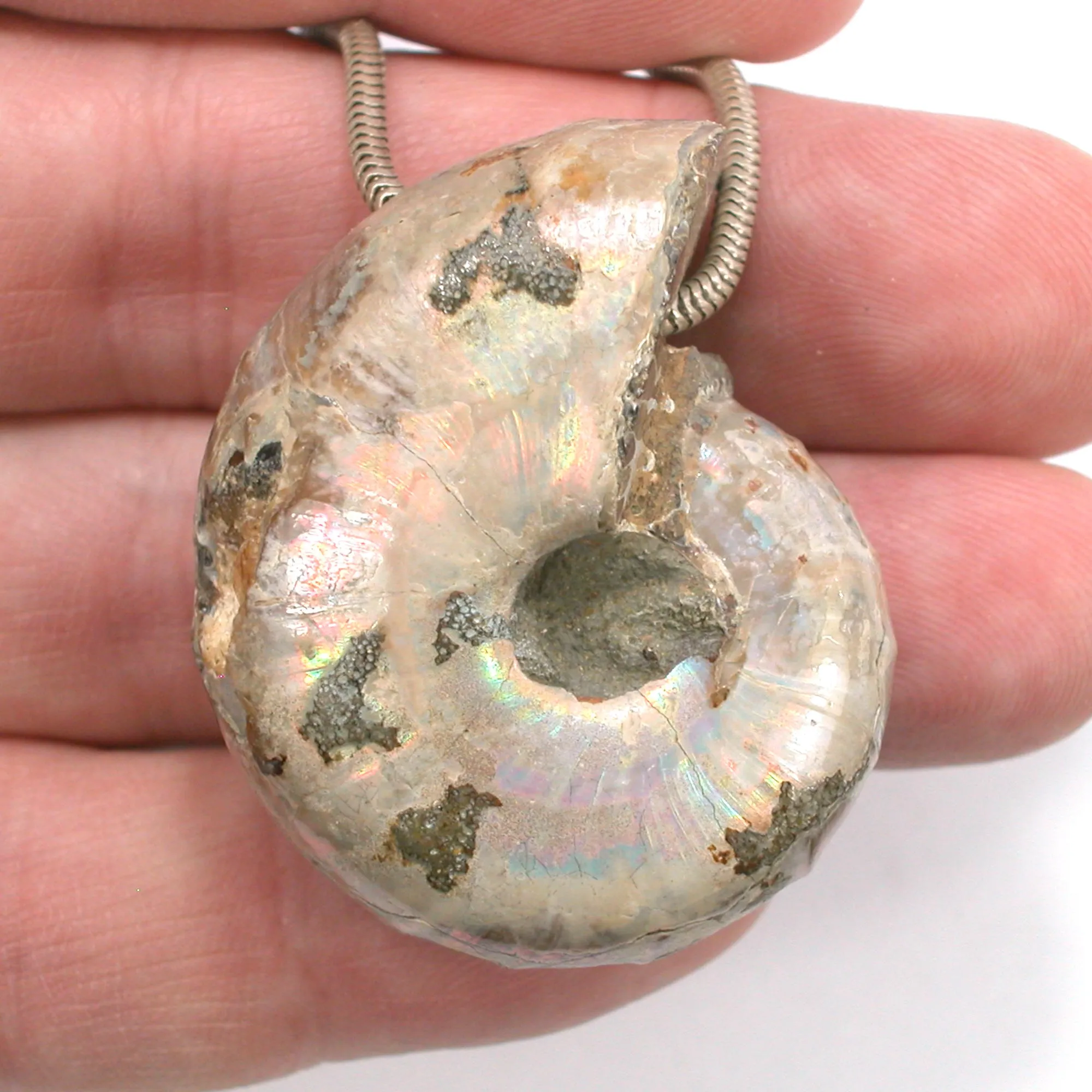 DVH Fossil Iridescent Ammonite Ammolite Focal Bead 44x33x20 (4417)