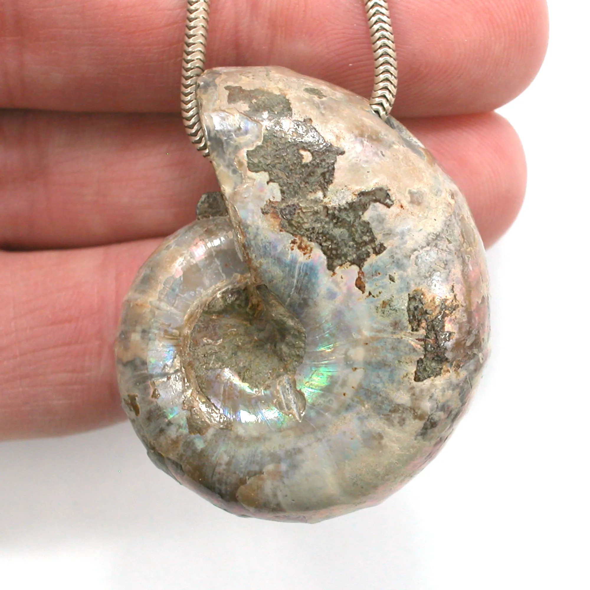 DVH Fossil Iridescent Ammonite Ammolite Focal Bead 44x33x20 (4417)