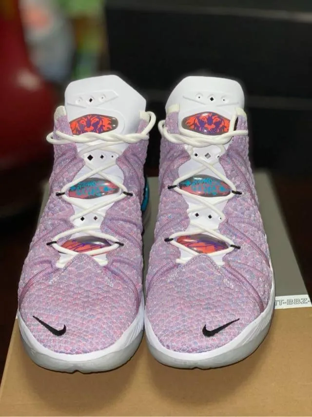 Nike lebron 18 multicolor