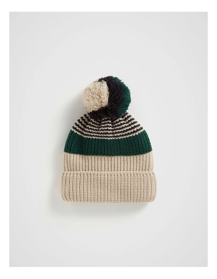 Stripe Knit Beanie in Multi