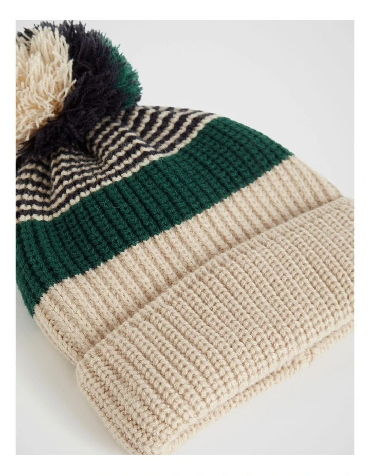 Stripe Knit Beanie in Multi